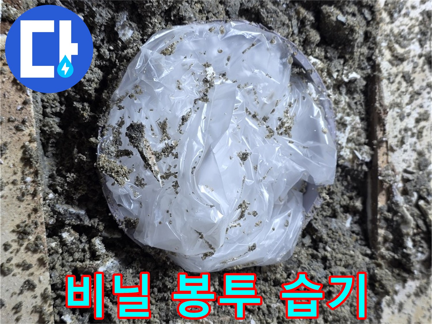 묵동 타일 밑 비닐 봉투 - 습기 저장고!