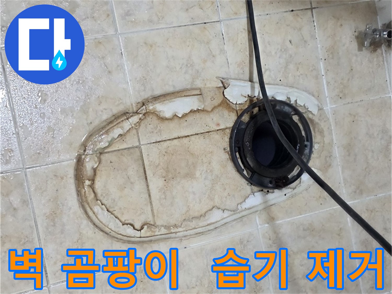 변기 누수 - 변기 뒤쪽 벽면 곰팡이, 습기 제거 작업 필수