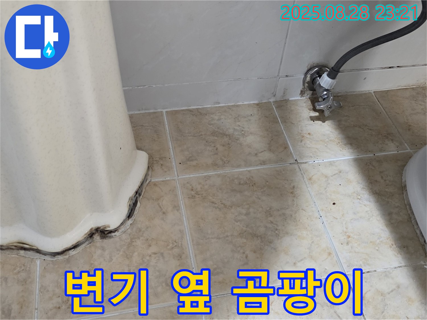 변기 옆 타일 곰팡이 - 곰팡이 방지 실리콘으로 완벽 시공!