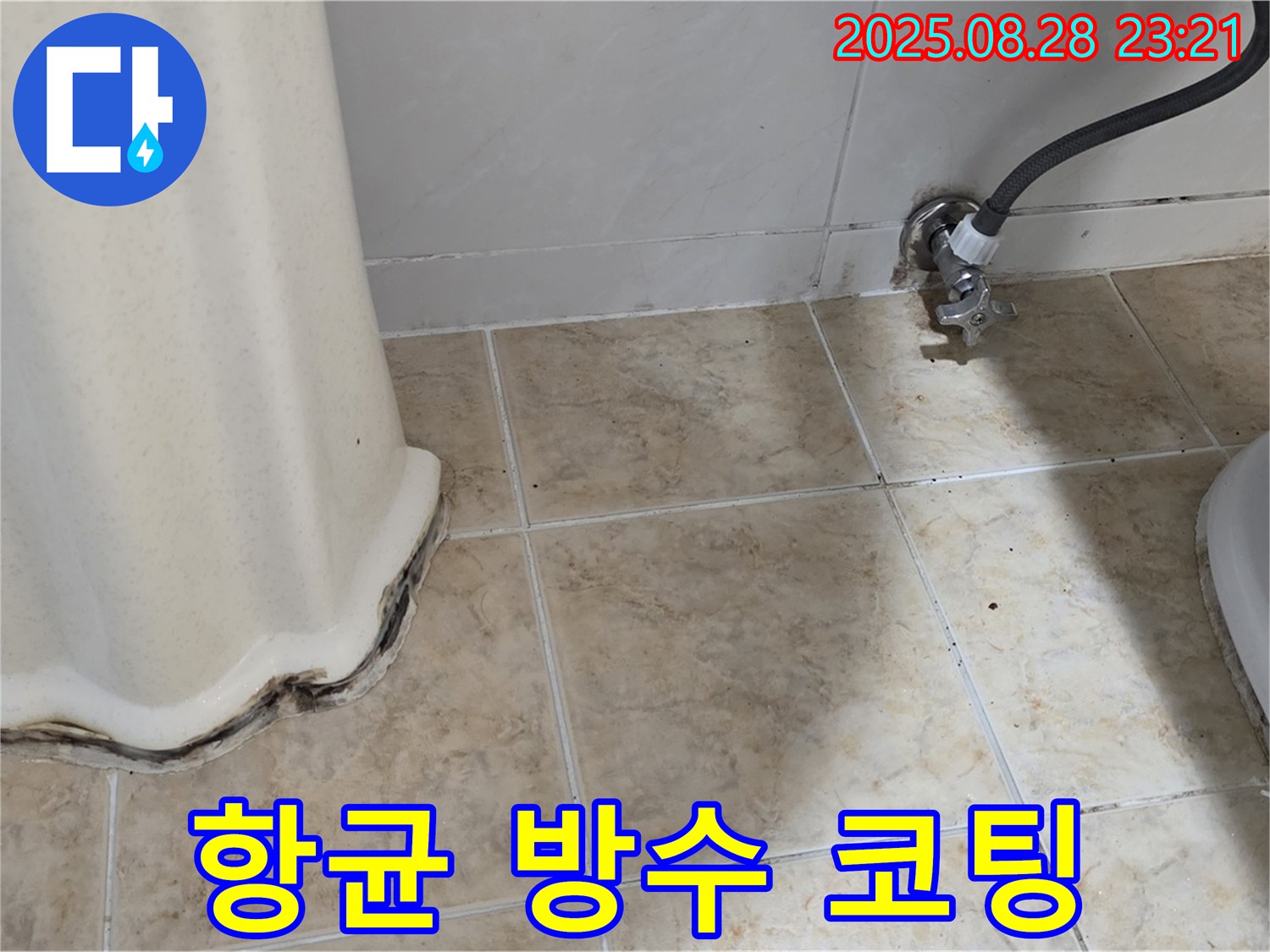 변기 옆 타일 곰팡이 - 곰팡이 제거 후 항균 방수 코팅으로 곰팡이 재발을 완벽하게 차단했습니다!