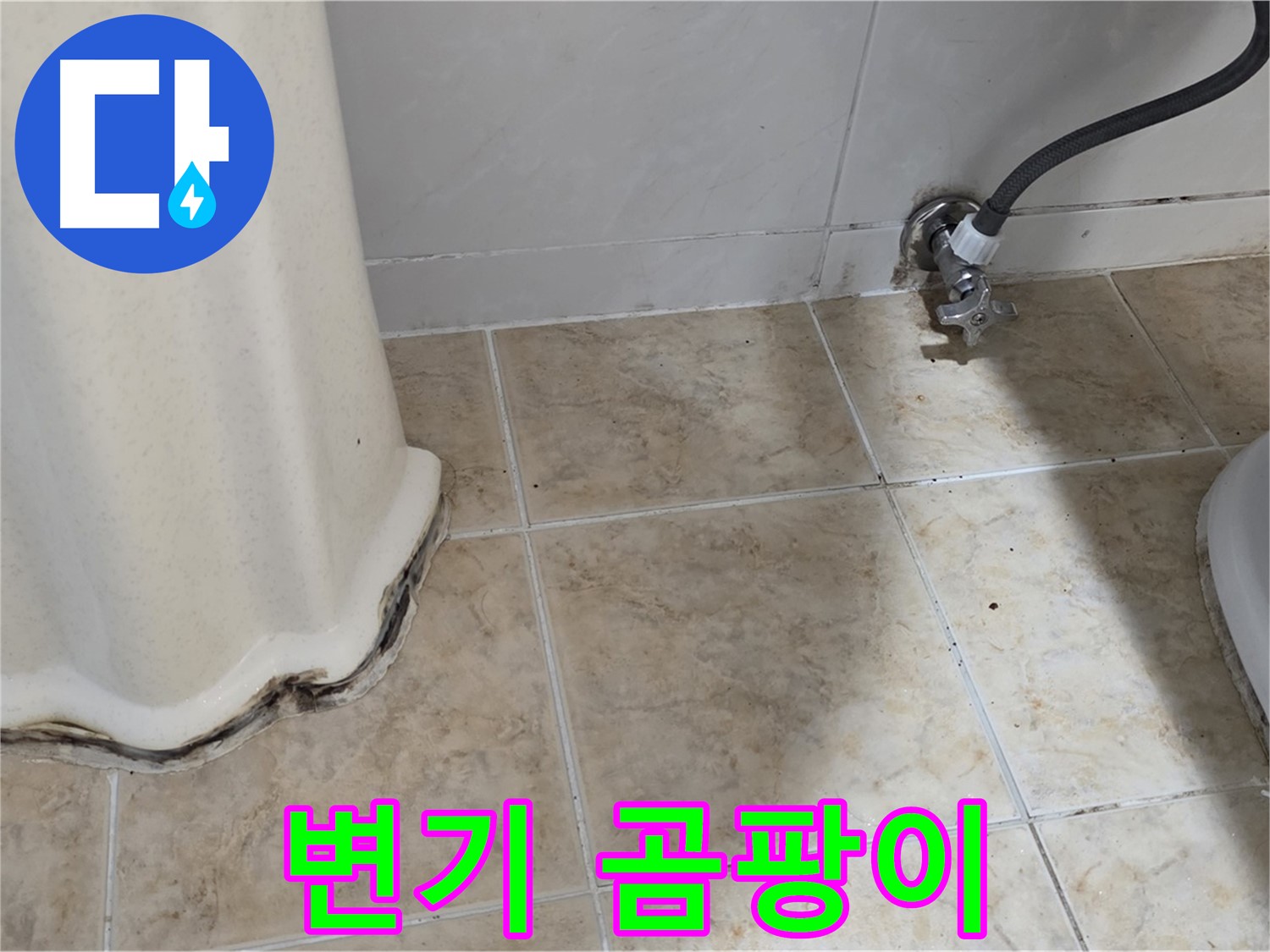 변기 주변 곰팡이 - 이제 깨끗하게 청소하세요 - 곰팡이 청소 전문가