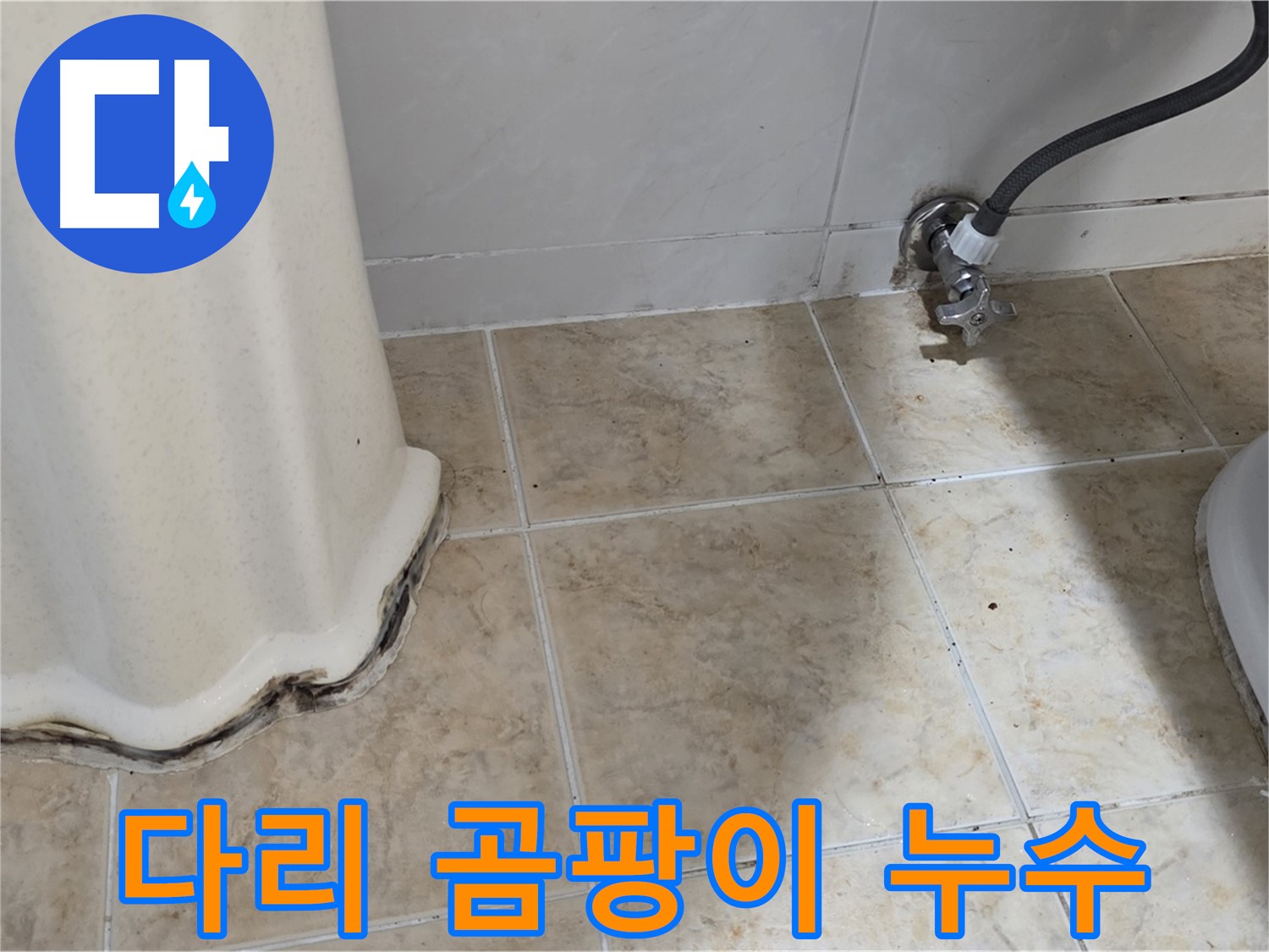 세면대 다리 곰팡이 - 습기 가득한 욕실 - 곰팡이 번식