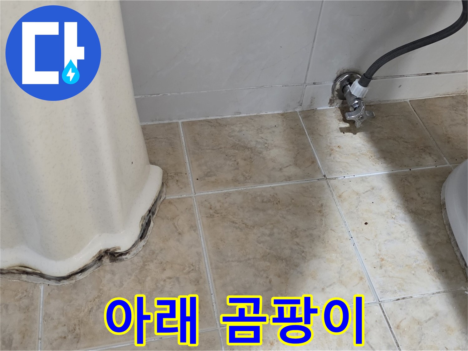 세면대 아래 곰팡이 - 습기 제거가 먼저 - 습기 제거 전문가