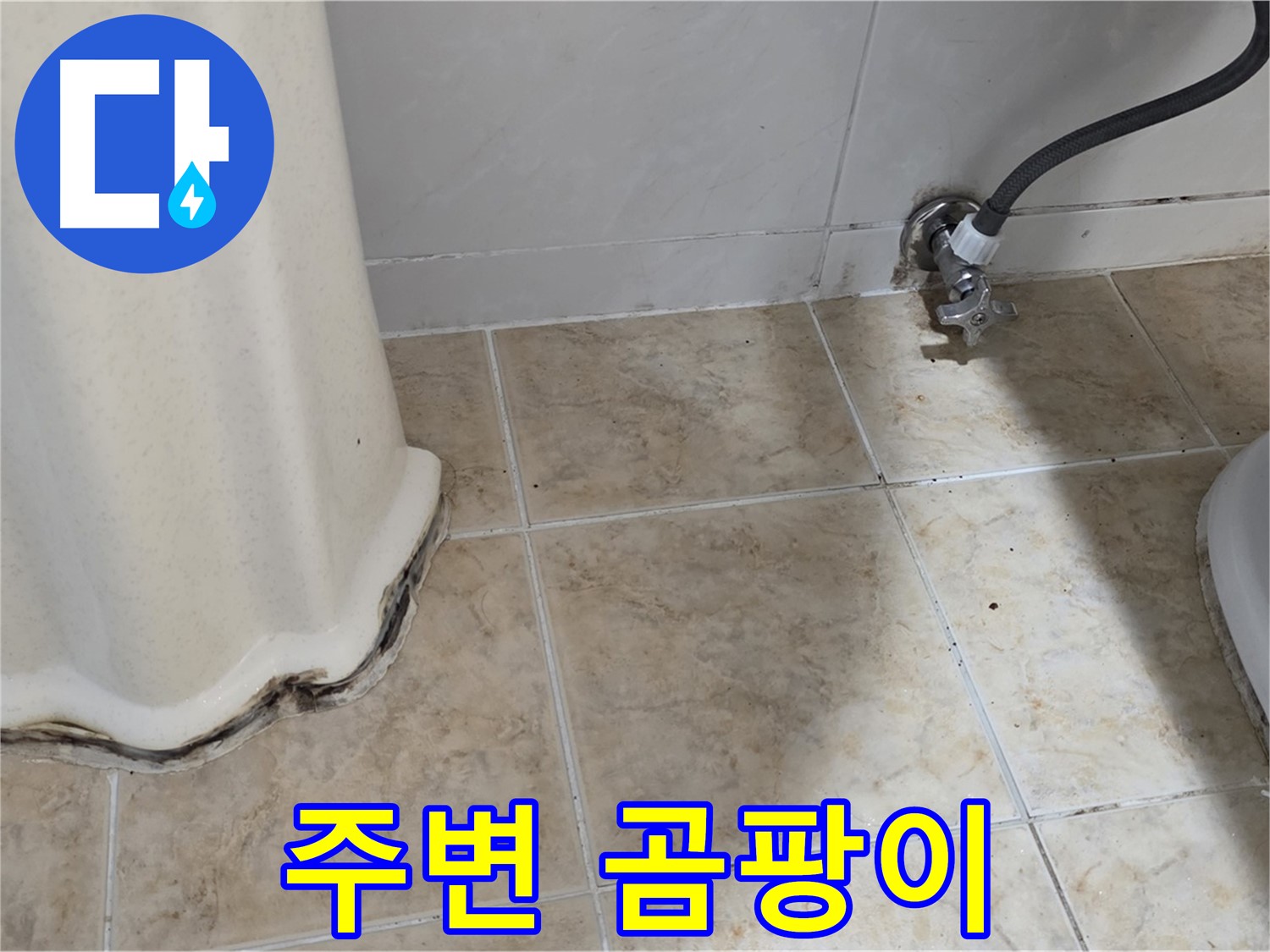 세면대 주변 곰팡이 - 쾌적한 욕실을 위해 없애주세요 - 곰팡이 제거 전문가