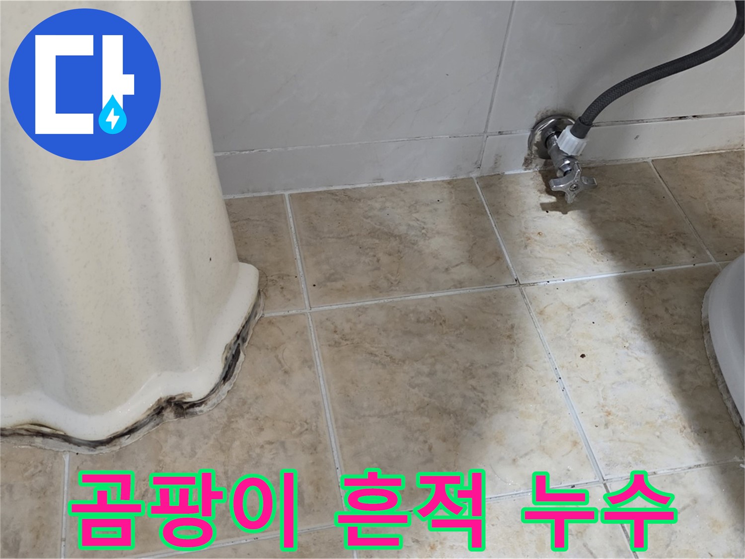 세면대 주변 곰팡이 흔적 - 보이지 않는 곳까지 꼼꼼하게 - 완벽한 누수 해결