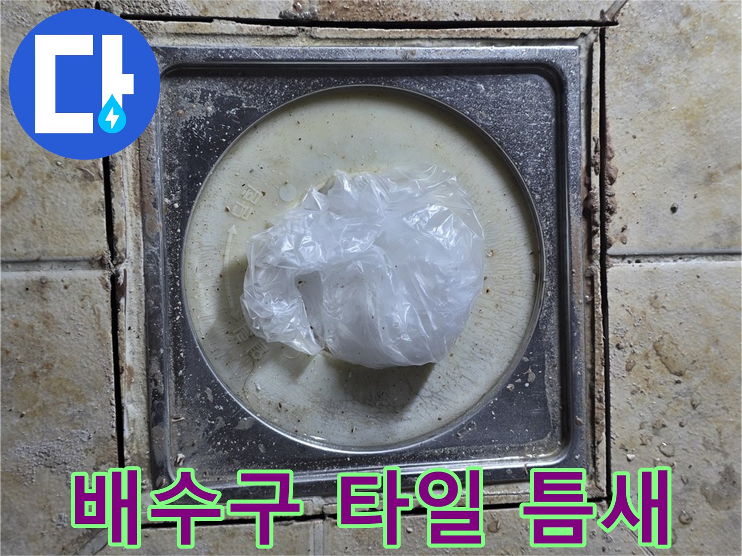 욕실 배수구 타일 틈새 오염 - 누수 위험 진단 및 청소