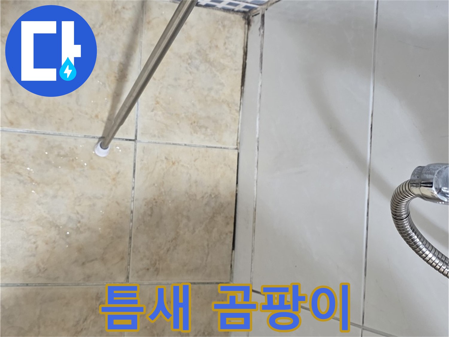 타일 틈새 검은 곰팡이 - 습기 - 누수 의심