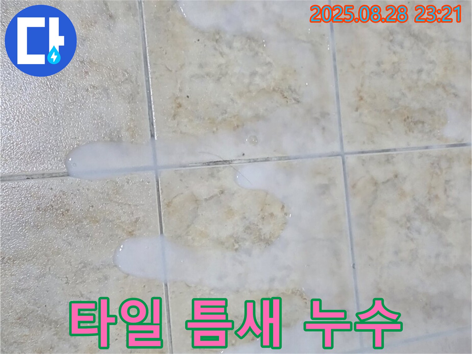 타일 틈새 누수 - 중랑구 묵동에서 발생한 타일 틈새 누수 문제를 해결하는 과정을 보여줍니다.