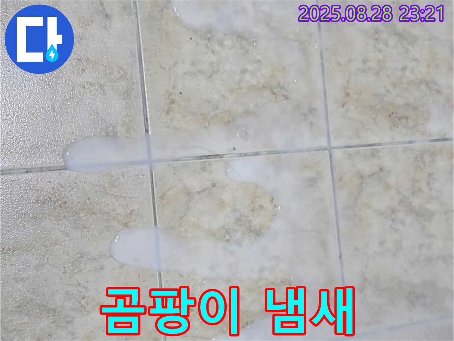 타일 틈새 백시멘트 - 곰팡이 냄새 - 묵동 주택 욕실에서 발견된 곰팡이 냄새가 나는 백시멘트 - 누수 진행을 의심해야 합니다.