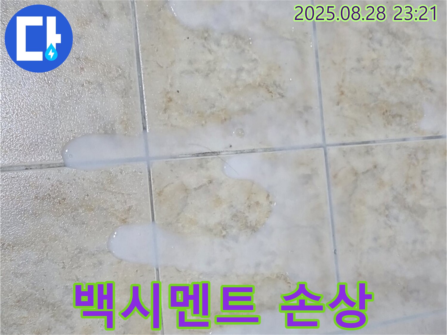 타일 틈새 백시멘트 손상 - 묵동 아파트 욕실에서 발견된 백시멘트 손상 - 누수로 이어질 수 있는 위험한 상황입니다.