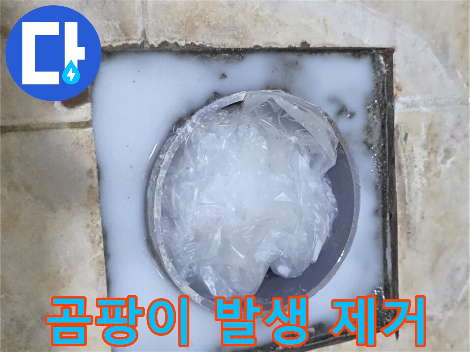 하수구 트랩 - 주변 곰팡이 발생 및 제거 작업