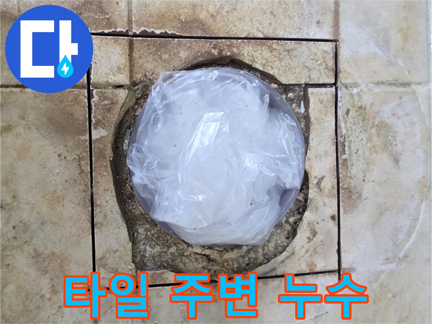 화장실 타일 주변 누수 - 습기로 인한 곰팡이 발생 가능성