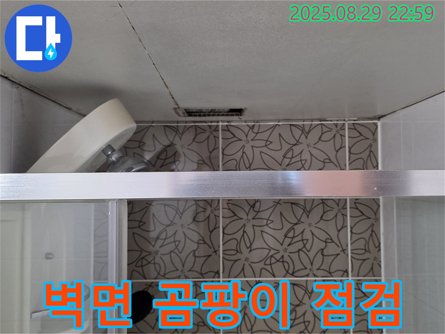 백석읍 서광아파트 104동 욕실 샤워기 주변 벽면 곰팡이 및 누수 흔적 점검 사진 - 샤워기 주변 벽면의 곰팡이와 누수 흔적을 점검하고 있습니다.