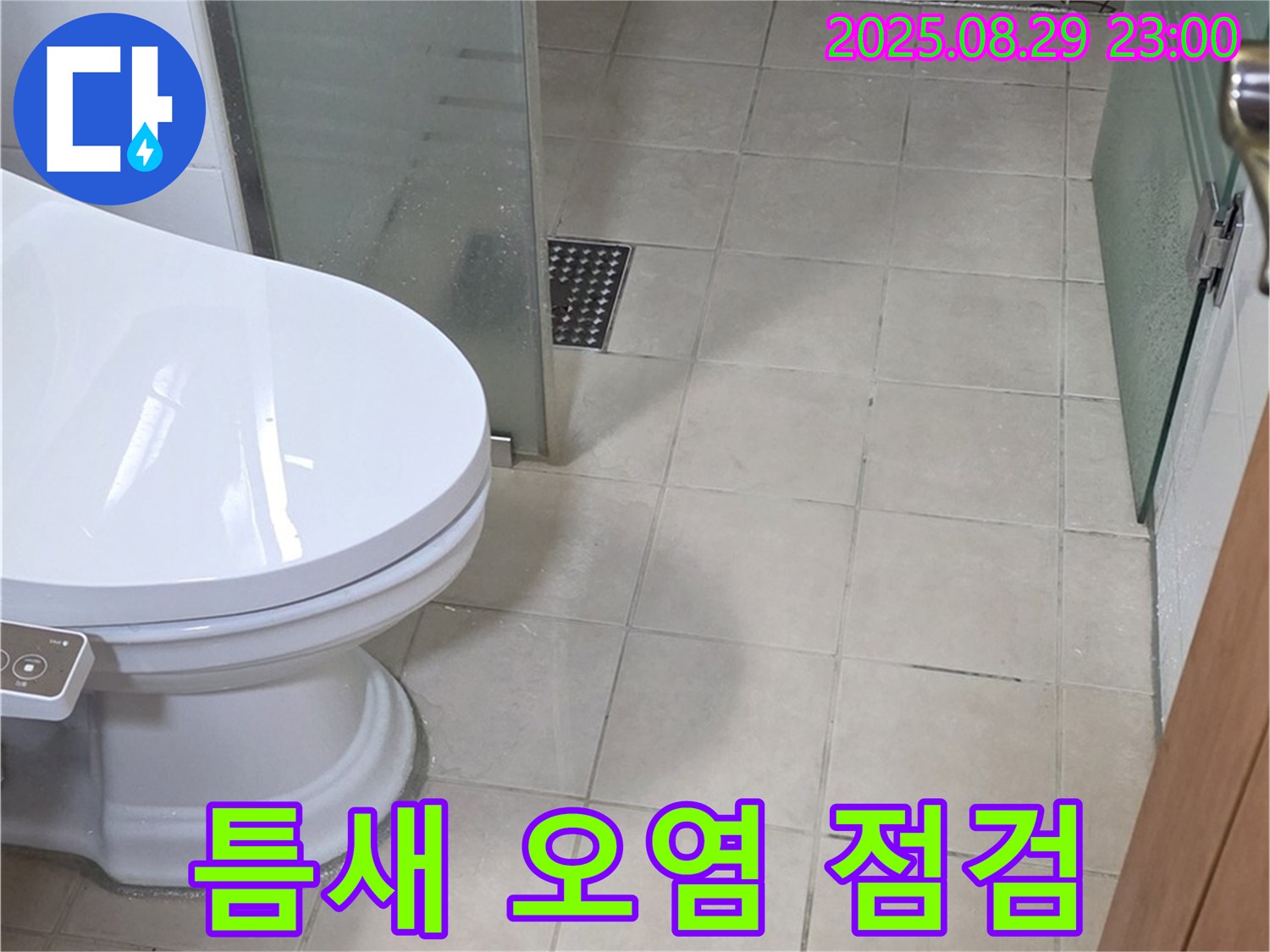 양주 백석 서광아침의빛 변기 옆 타일 틈새 오염 - 누수 의심 및 곰팡이 발생