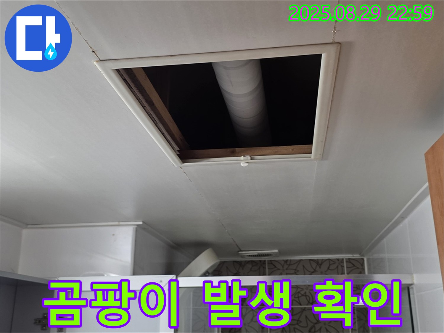 양주 백석 서광아침의빛 욕실 - 점검구 속 배관 주변 곰팡이 발생 여부 확인