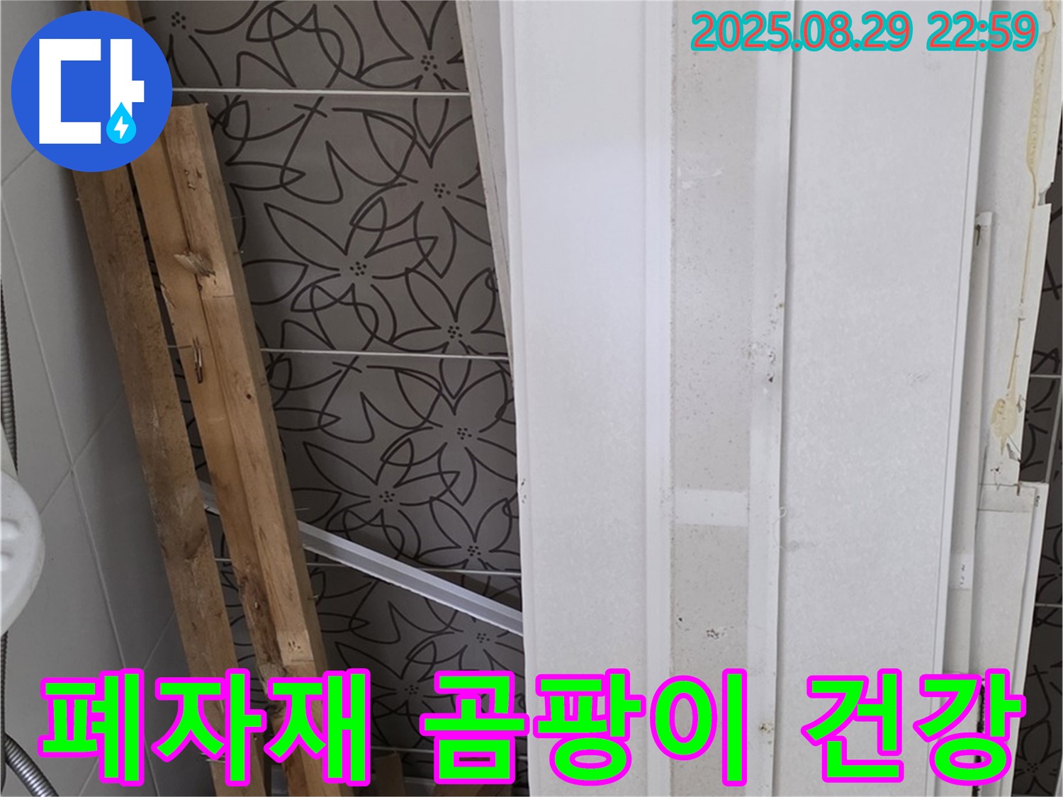 양주 백석 서광아침의빛아파트 누수 - 폐자재 속 곰팡이, 가족 건강을 위협하는 숨은 적!