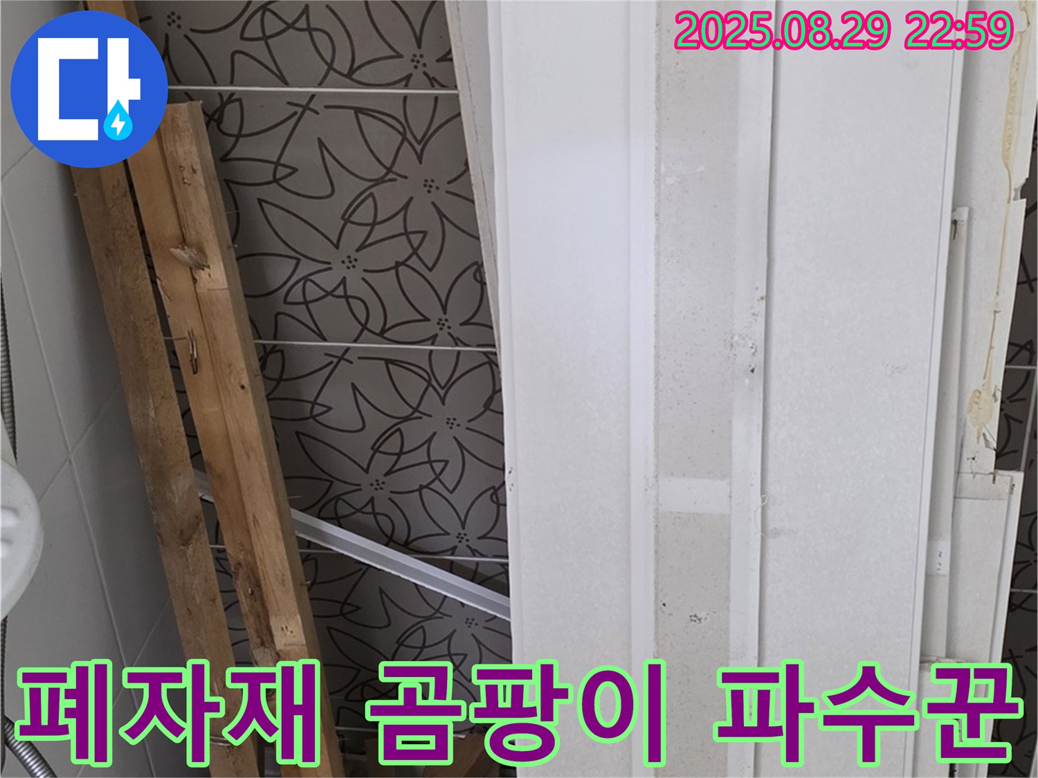 양주 백석 서광아침의빛아파트 누수 - 폐자재 속 곰팡이, 가족 건강을 지키는 파수꾼! 꼼꼼한 제거는 필수!