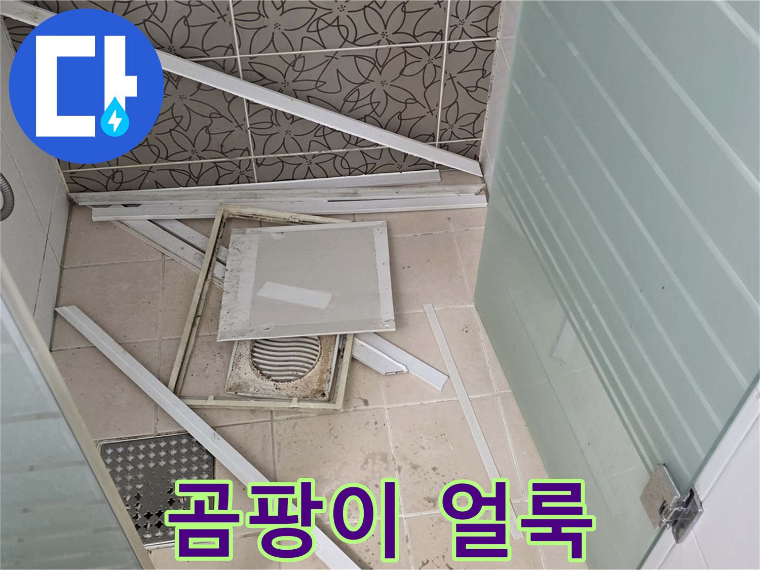 양주 백석 서광아파트 누수 - 석고보드, 곰팡이로 얼룩덜룩