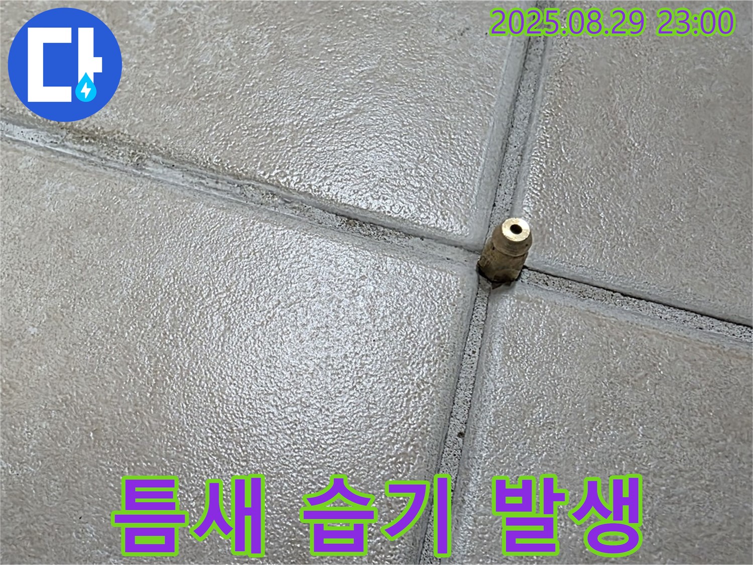 양주 백석 서광아파트 누수 - 압력 주입구 주변 타일 틈새에 습기가 차 있는지 확인하고 있습니다.