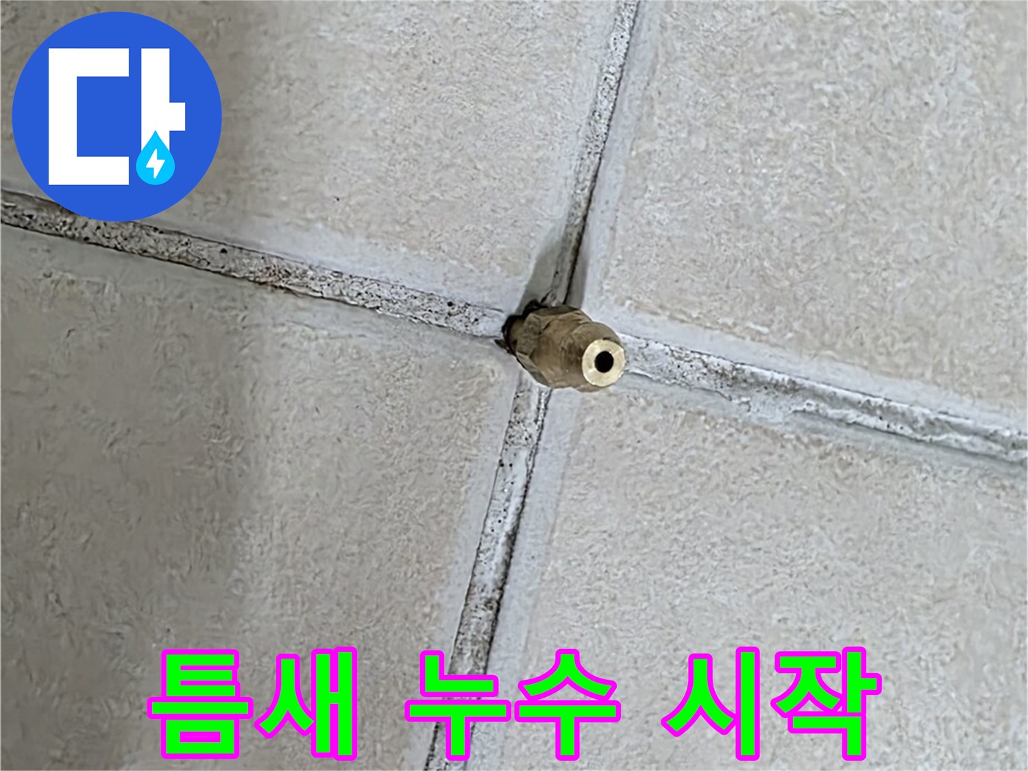 양주 백석 서광아파트 누수 - 타일 틈새는 누수 해결의 시작점입니다.