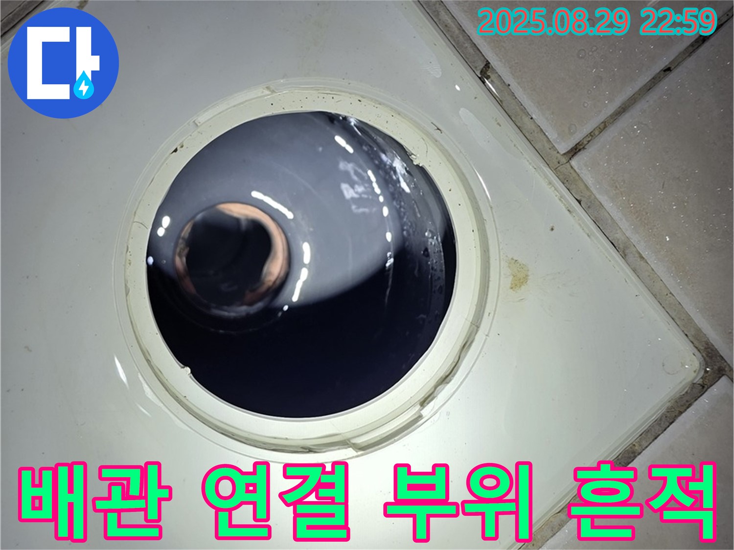 양주 백석 서광아파트 욕실 누수 - 하수구 배관 연결 부위 주변의 누수 흔적을 꼼꼼하게 확인합니다.