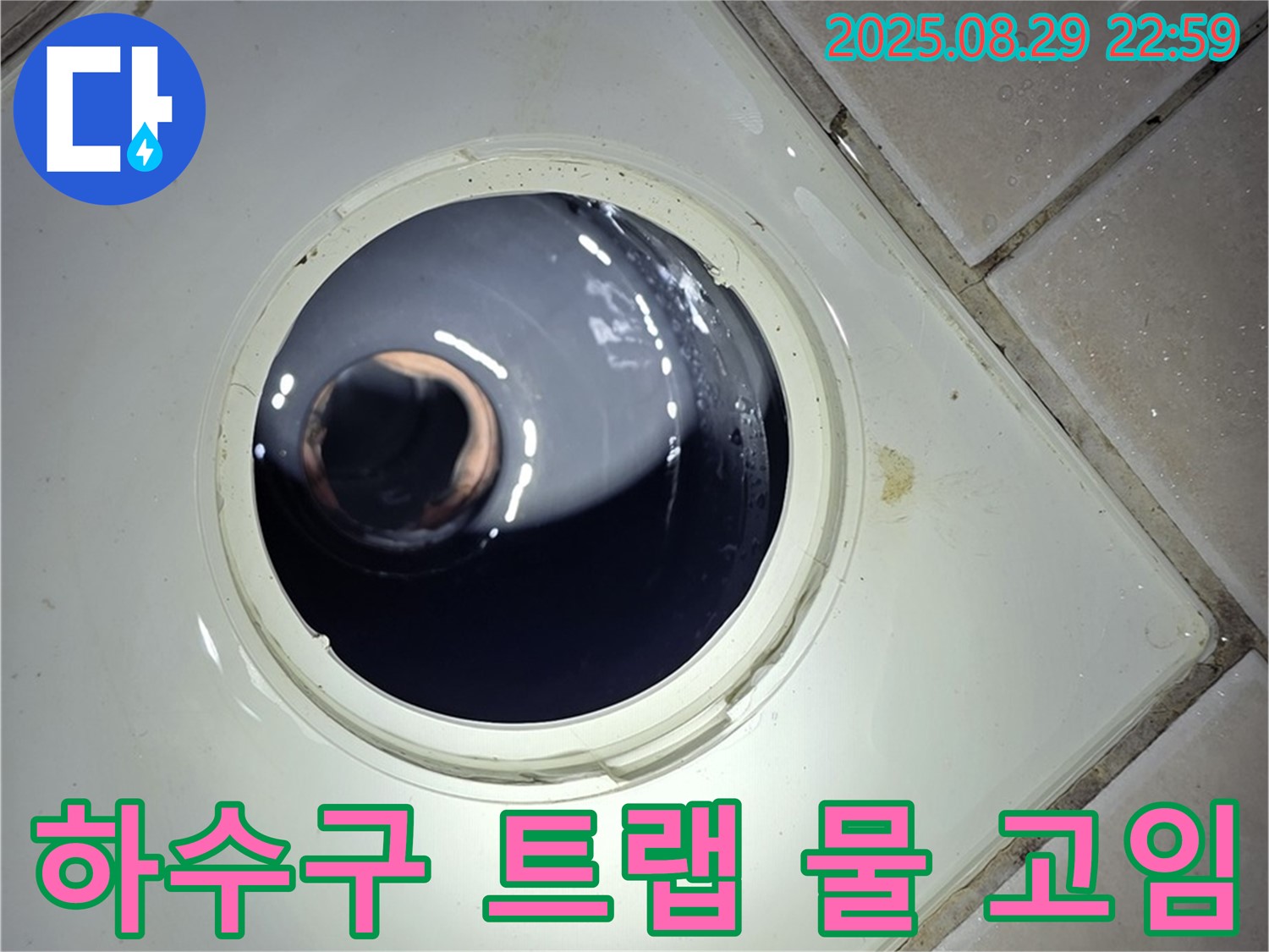 양주 백석 서광아파트 욕실 누수 - 하수구 트랩 내부의 물 고임 상태를 확인하여 누수 원인을 분석합니다.