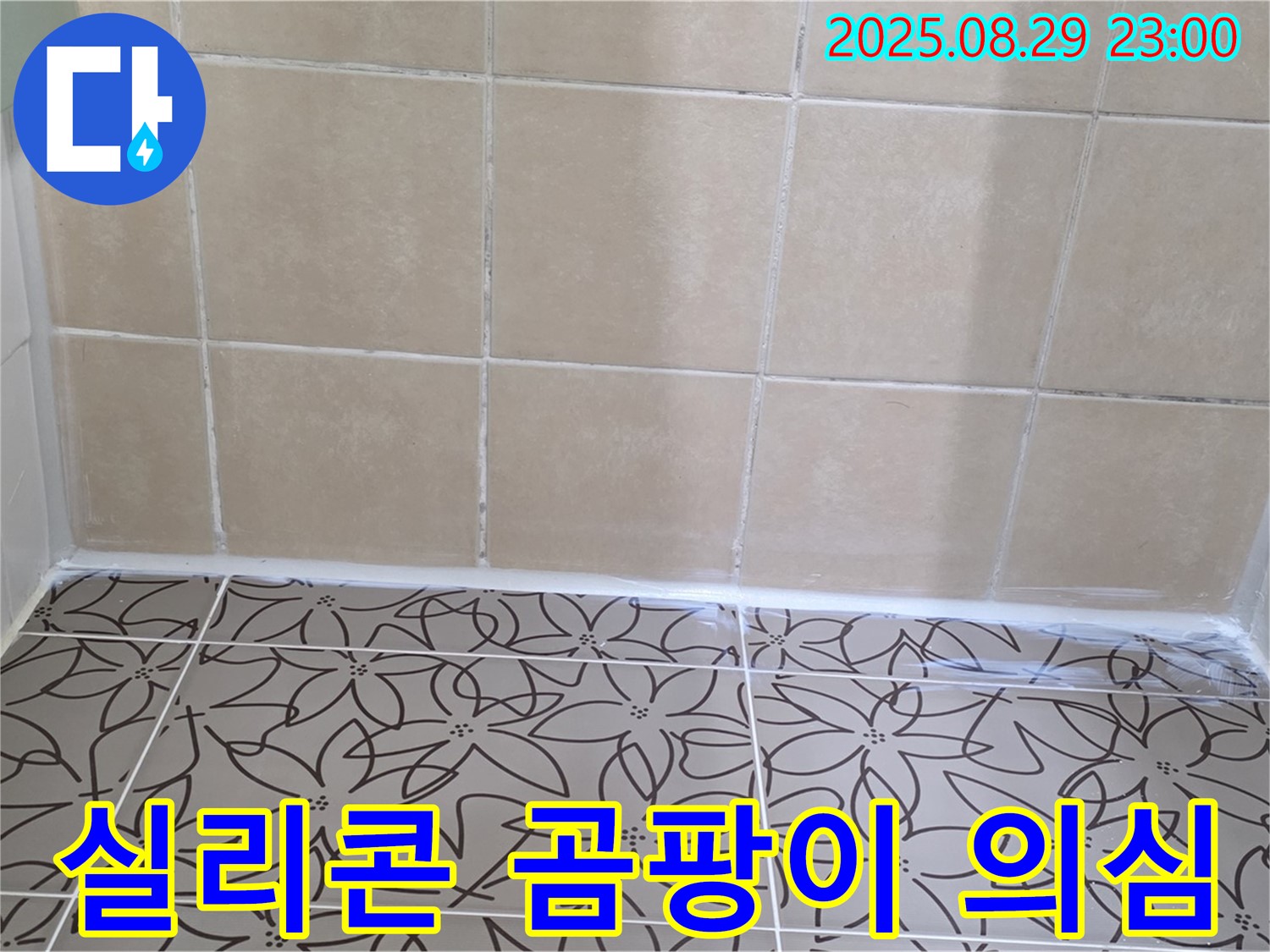 양주 백석 서광아파트 욕실 - 욕조 옆 실리콘에 곰팡이가 핀 사진으로 누수 가능성을 보여줍니다.