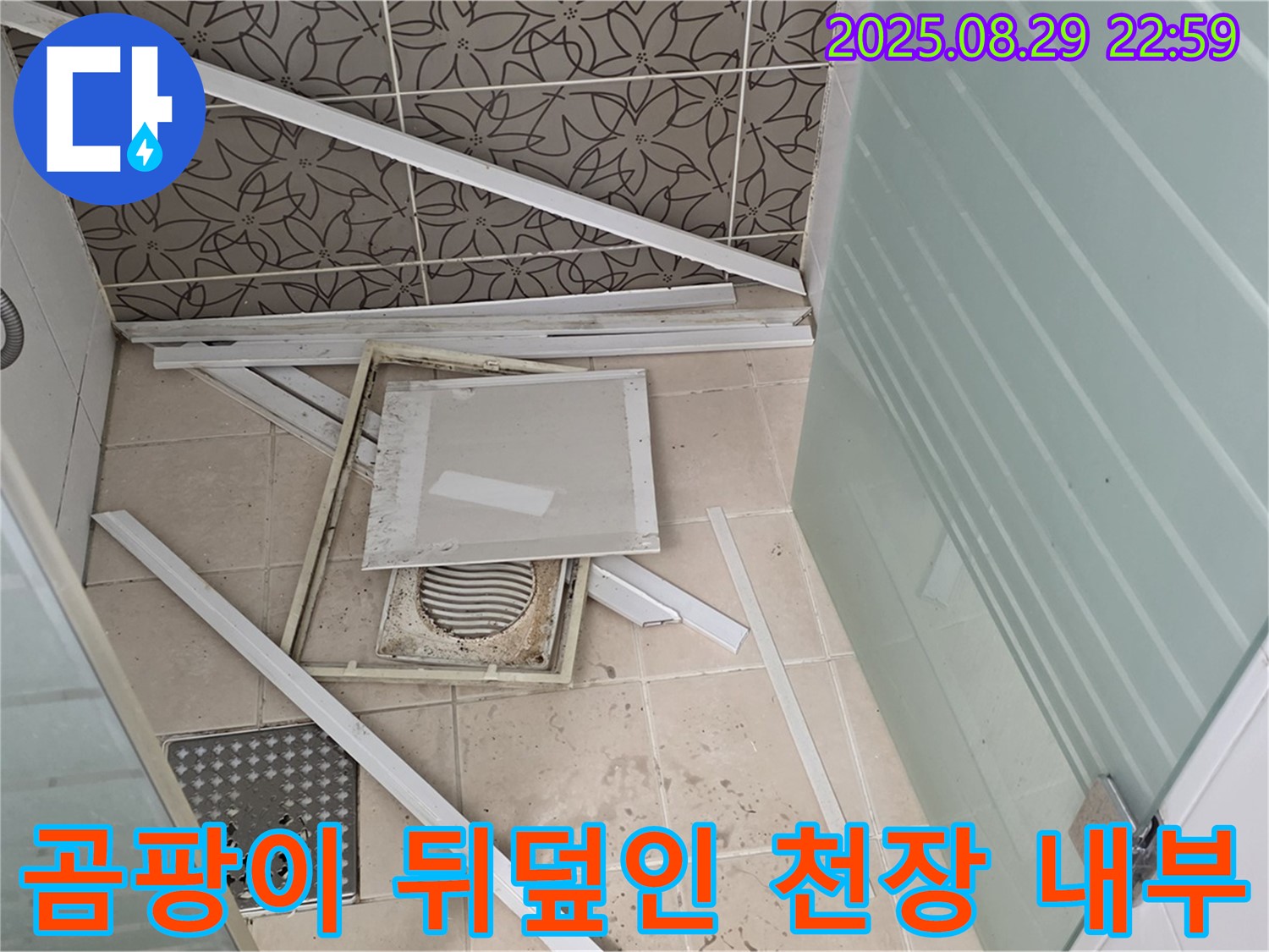 양주 백석 서광아파트 욕실 - 천장 내부가 습한 환경으로 인해 곰팡이로 가득 차 있습니다.