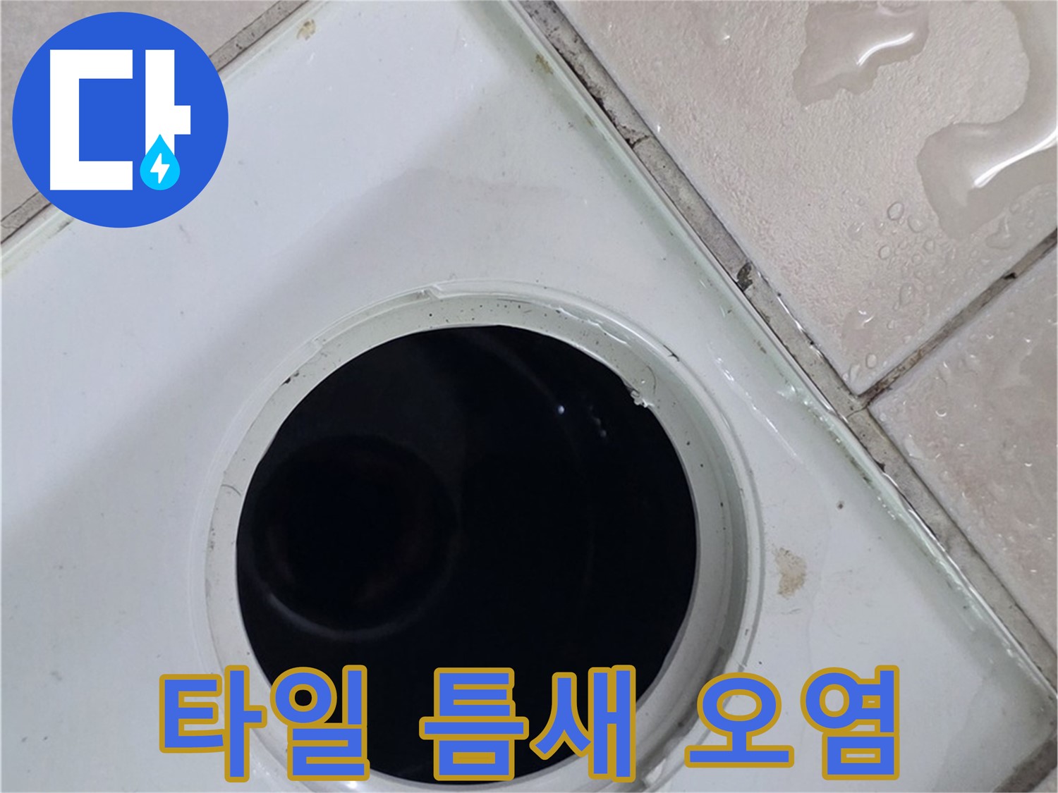 양주 서광아침의빛아파트 욕실 누수 - 배수구 주변 타일 틈새의 오염 상태를 확인합니다.