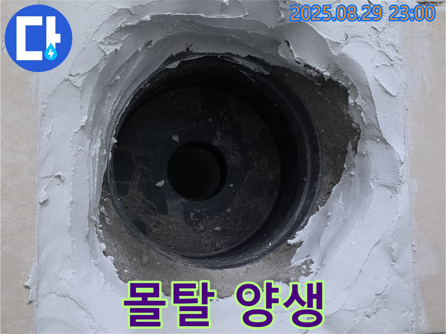 양주 서광아파트 - 몰탈 건조 중, 꼼꼼한 양생 과정