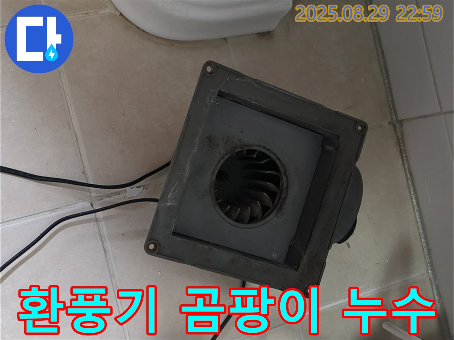 양주 서광아파트 - 환풍기 속 곰팡이, 누수의 위험 신호일까요?