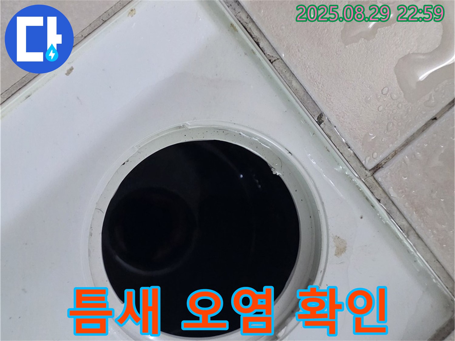 양주시 백석읍 봉암리 서광아침의빛아파트 104동 욕실 - 배수구 주변 타일 틈새 오염 상태를 확인하고 청소를 준비합니다 - 틈새에 낀 오염 물질을 확인합니다.