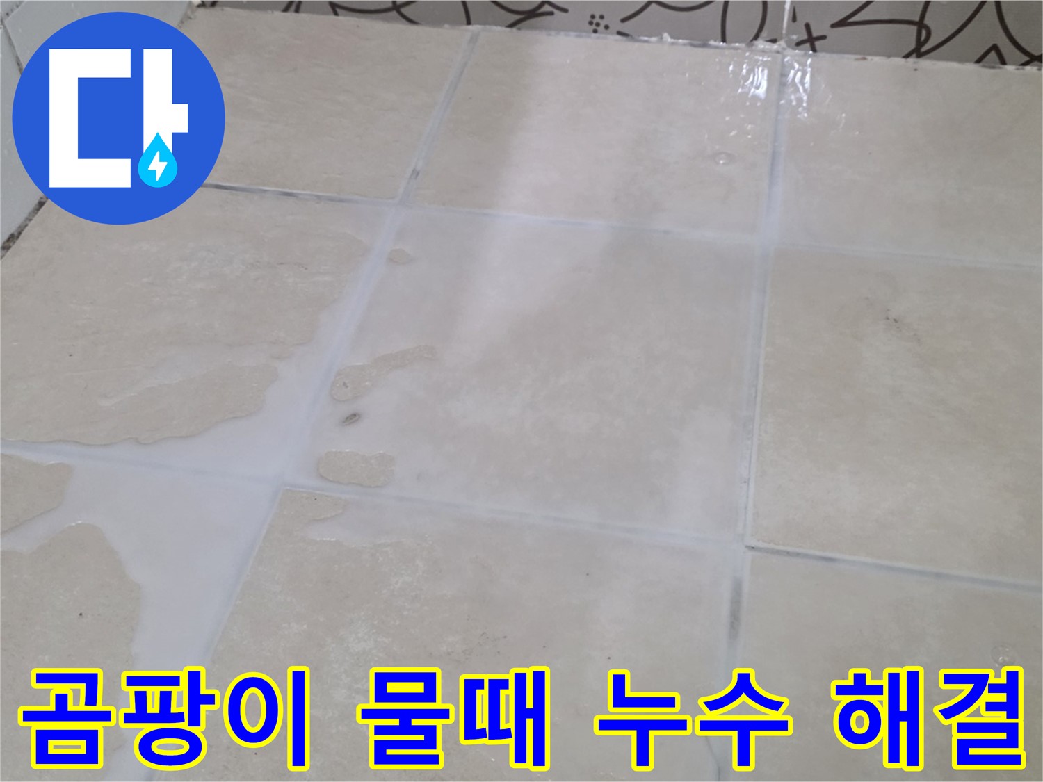 욕실 타일 틈새 곰팡이 물때 누수 해결 - 깨끗하고 쾌적한 욕실 환경 조성