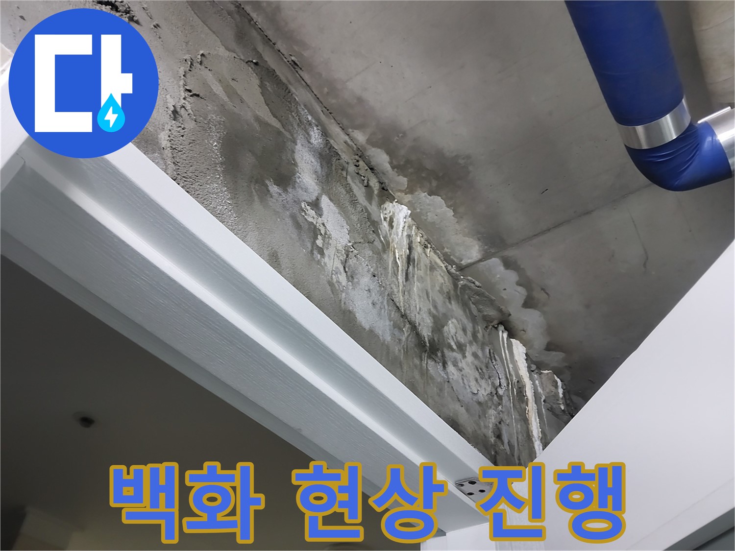 문 위 천장 - 백화 현상 진행 - 누수로 인해 천장에 하얀 가루 형태의 백화 현상이 진행되고 있는 모습입니다.