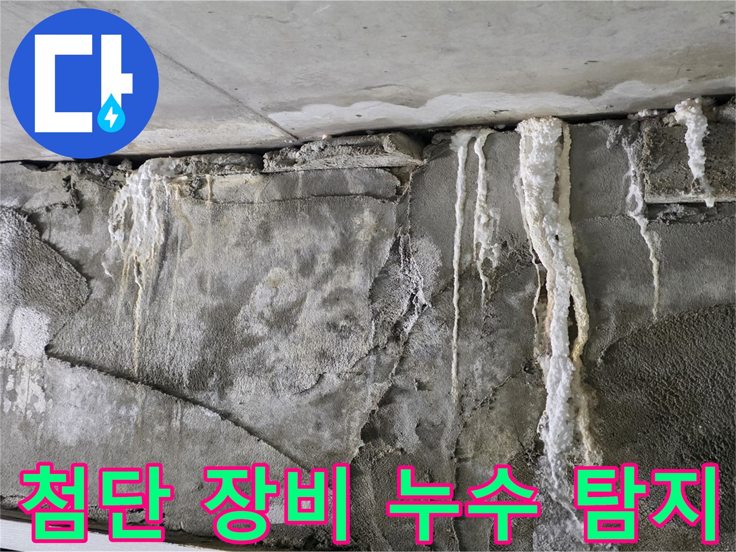 분당 누수 탐지 - 첨단 장비로 숨은 누수 제거