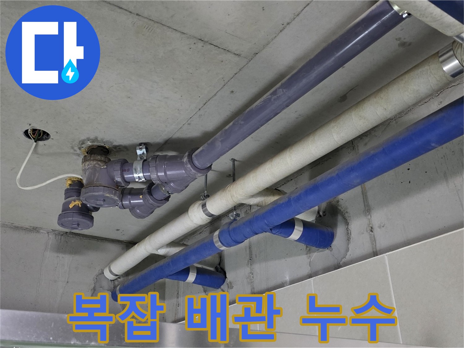 분당 운중동 6단지 상가 복잡 배관 누수 - 정확한 위치 파악 및 보수
