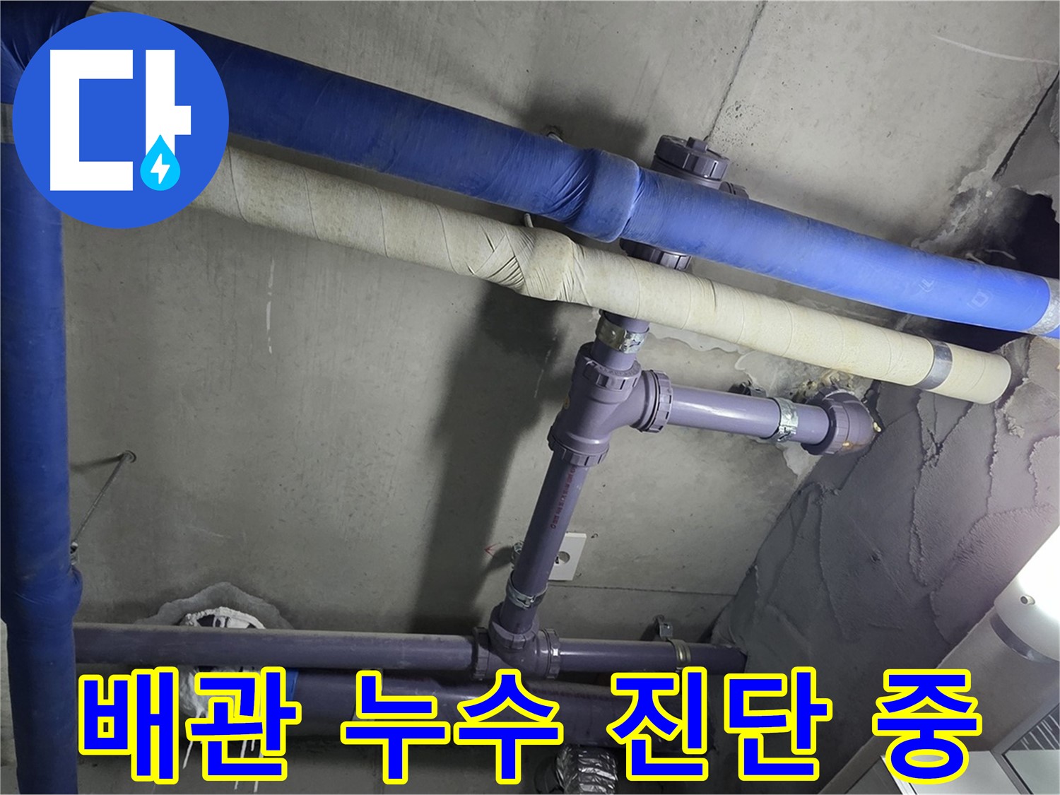 분당 운중동 산운로 아파트 배관 누수 진단 - 누수 부위를 찾기 위해 꼼꼼하게 확인하고 있습니다.