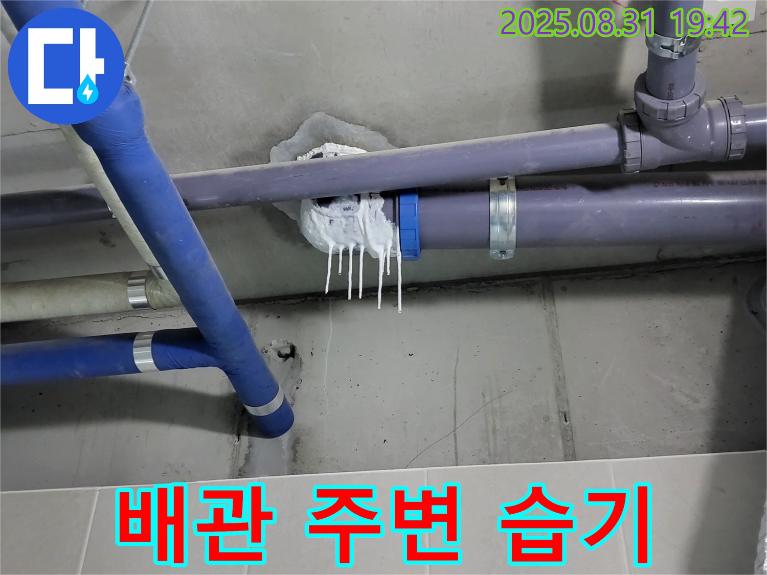 분당 운중동 산운로 주택 배관 누수 - 연결 부위 주변 습기 확인