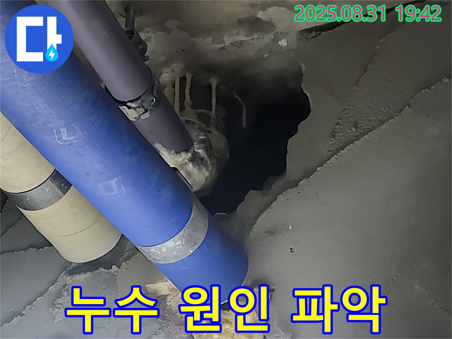 분당 운중동 산운마을 6단지 누수 - 천장 속 누수의 원인을 꼼꼼하게 파악하고 있습니다.