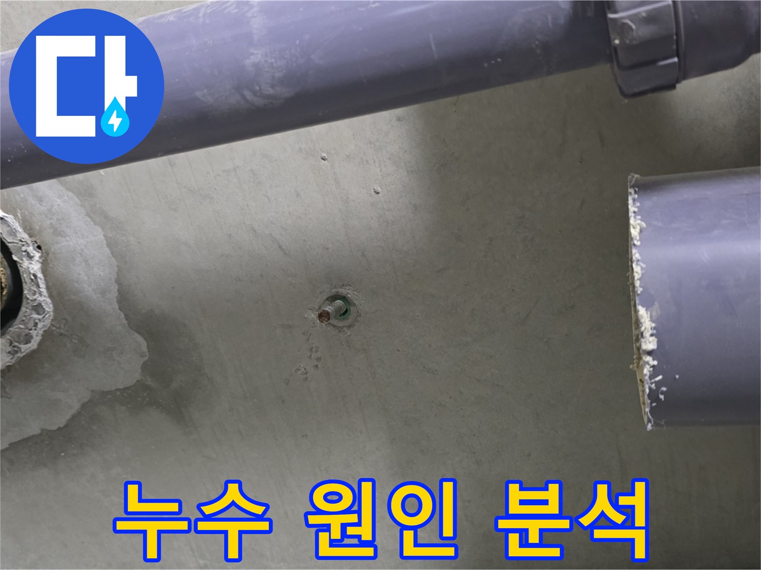 분당 운중동 산운마을 6단지 누수 현장에서 누수 원인을 꼼꼼하게 분석하는 모습 - 재발 방지를 위한 철저한 분석 과정을 담았습니다.