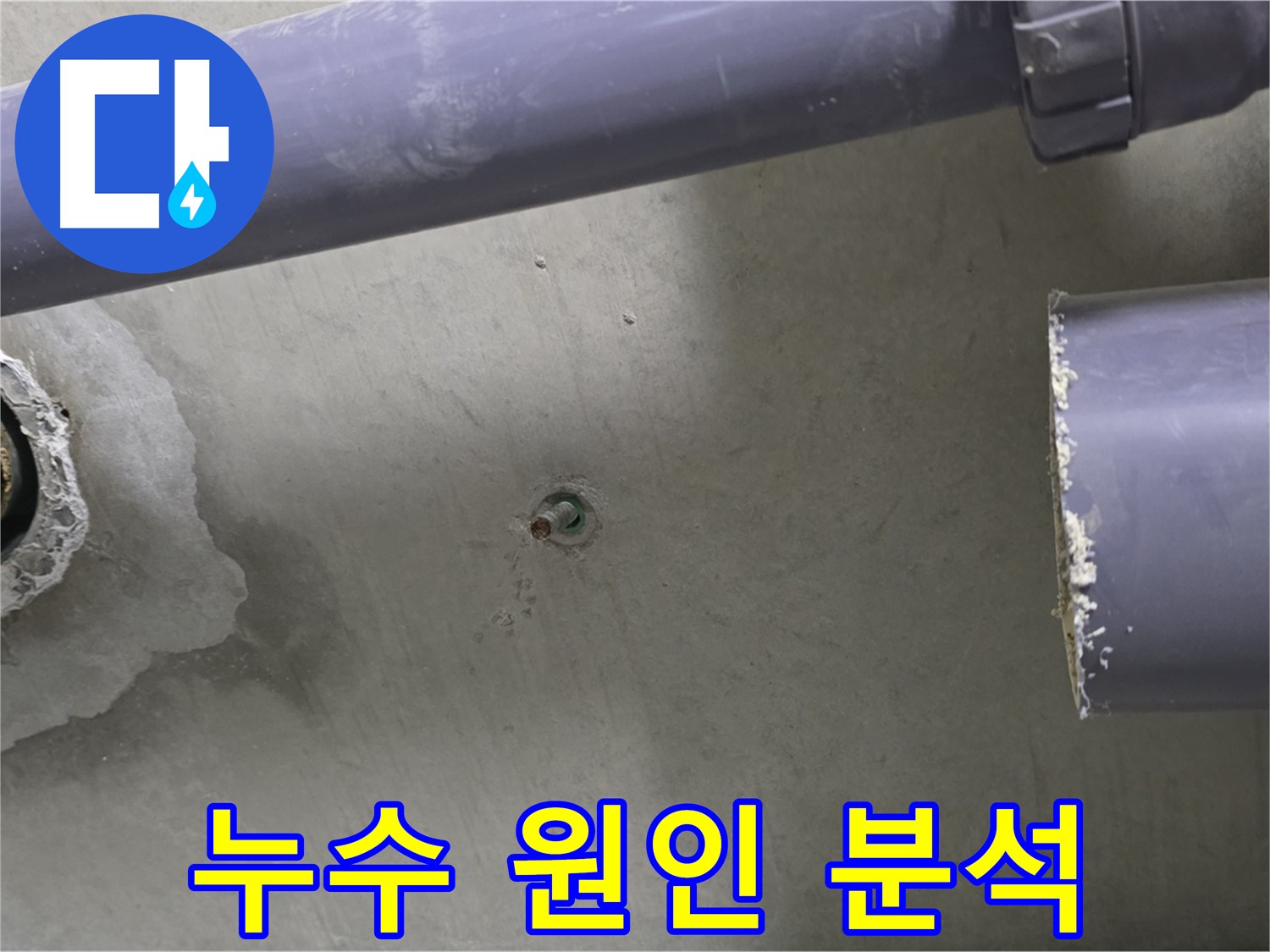 분당 운중동 산운마을 6단지 아파트 누수 현장에서 누수 원인을 꼼꼼하게 분석하는 모습 - 재발 방지를 위한 철저한 분석!