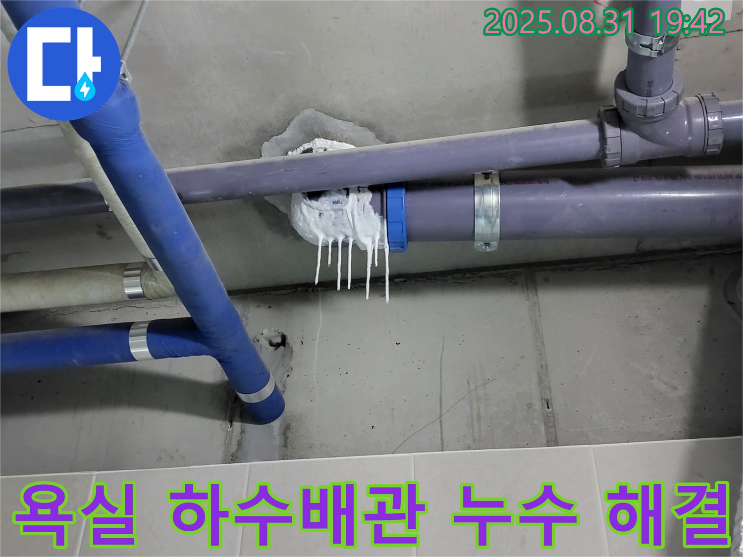 분당 운중동 산운마을 6단지 아파트 욕실 하수배관 누수 - 완벽 해결 후 고객 만족