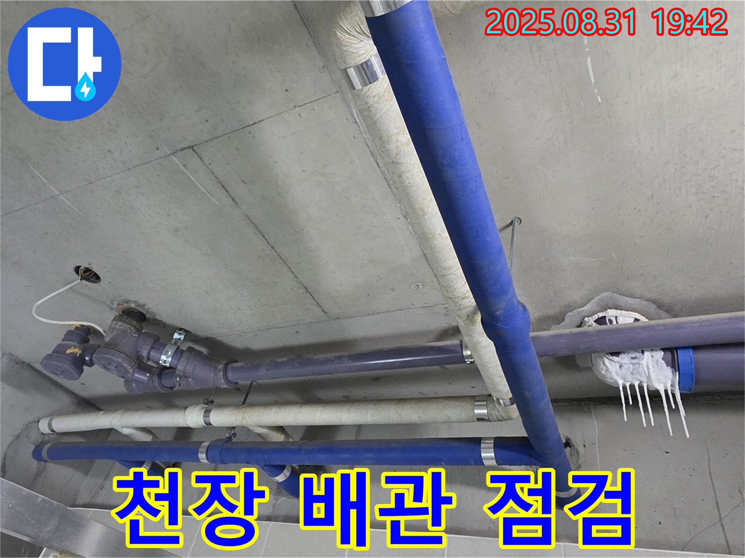 분당 운중동 산운마을 6단지 아파트 천장 배관 누수 - 긴급 점검으로 누수 확산을 막습니다.