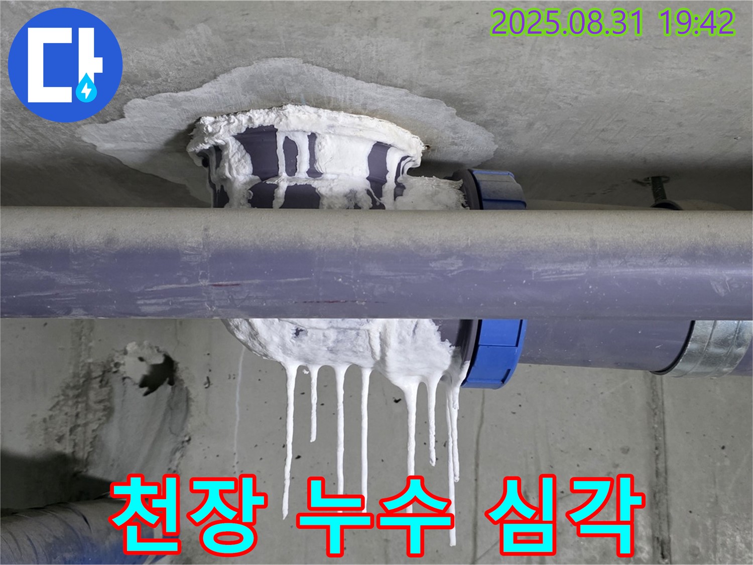 분당 운중동 산운마을 6단지 천장 누수 - 석회수 고드름처럼 맺힌 심각한 누수 흔적