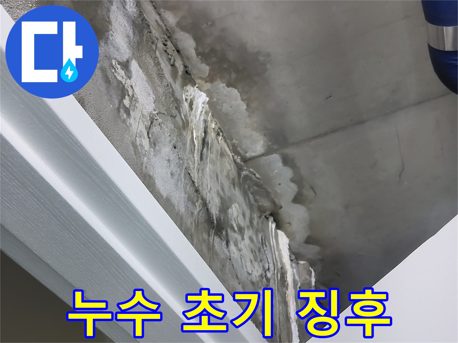 분당 운중동 산운마을 누수 초기 징후 - 곰팡이 발생 전 점검 필요