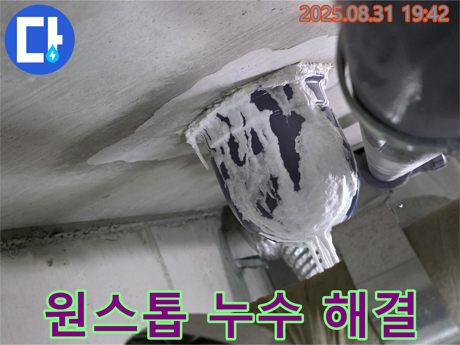 분당 운중동 산운마을 아파트 누수 - 누수탐지부터 완벽 시공까지, 모든 과정을 한 번에 해결해 드리는 원스톱 서비스!