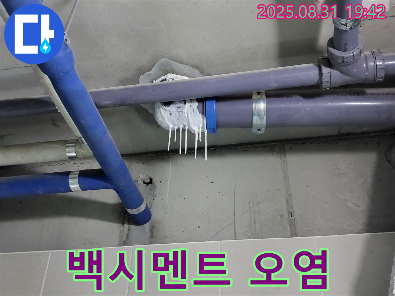 분당 운중동 산운마을 욕실 누수 - 핀 시공 주변 백시멘트 오염 및 변색 확인
