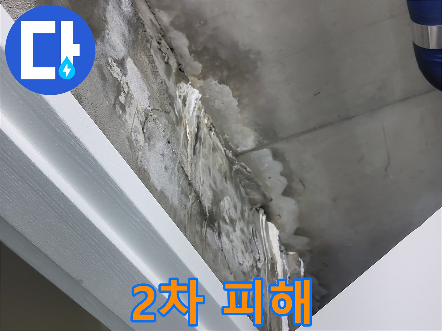 분당 운중동 산운마을 - 콘크리트 누수 - 석회수 - 2차 피해 유발