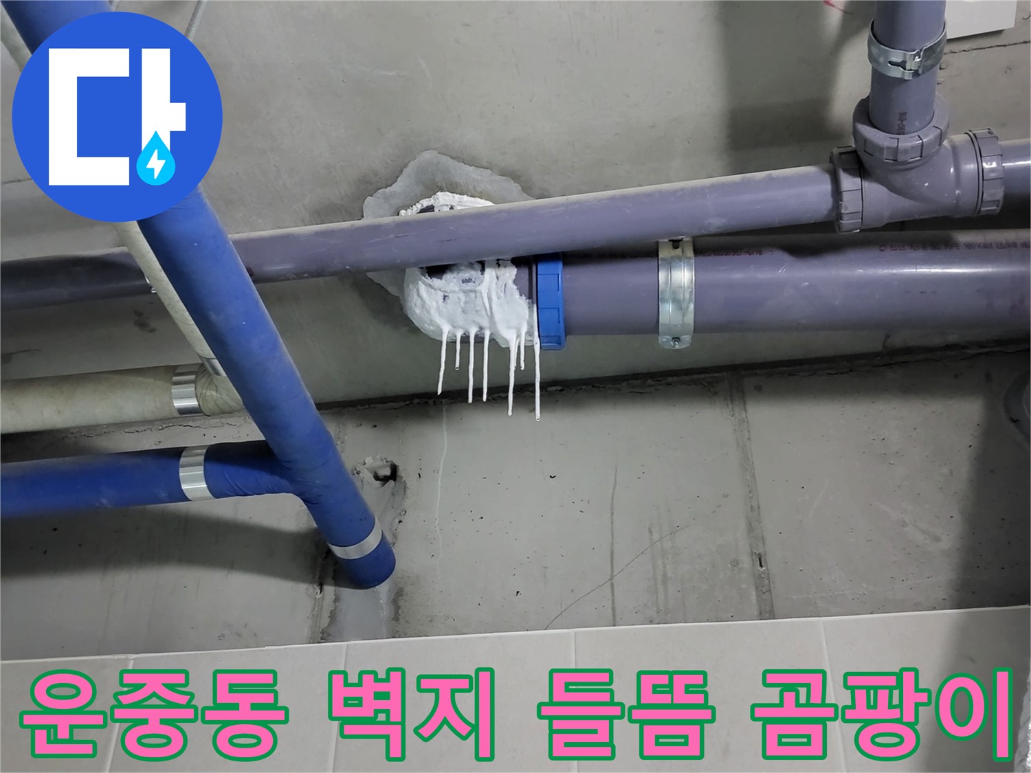 분당 운중동 하수 누수 - 벽지 들뜸과 곰팡이