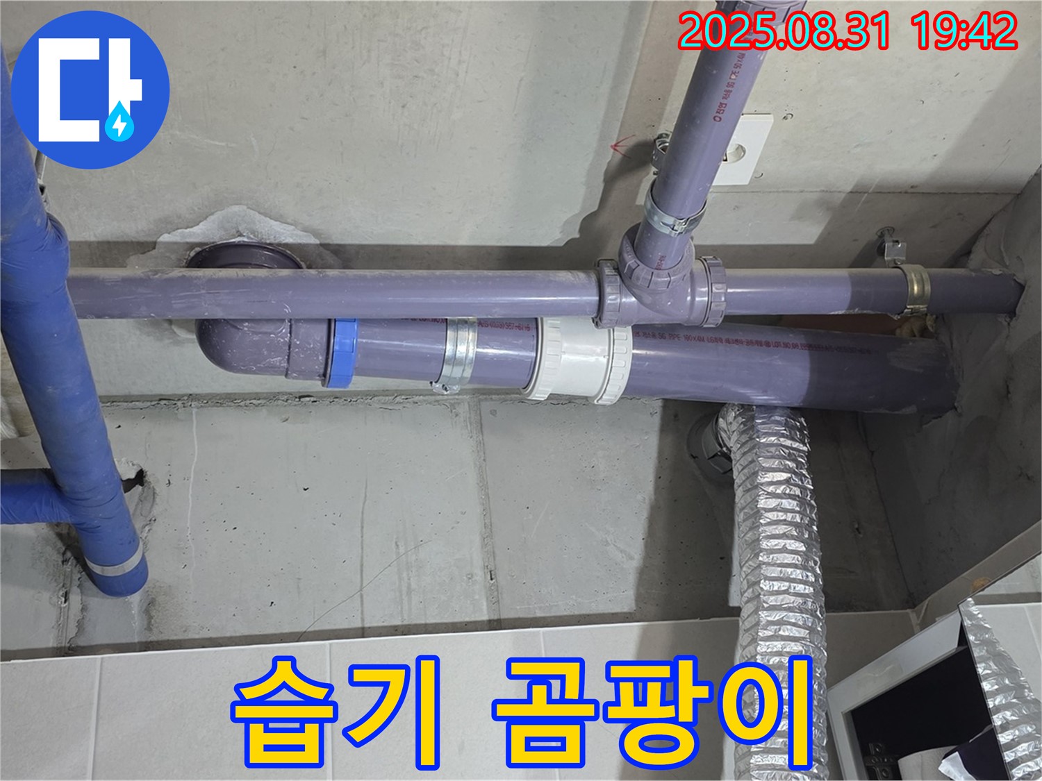 분당구 운중동 산운마을 아파트 - 세탁실 천장 배관 연결부 주변 습기 및 곰팡이 발생 확인 - 누수 전문가가 원인을 진단했습니다.